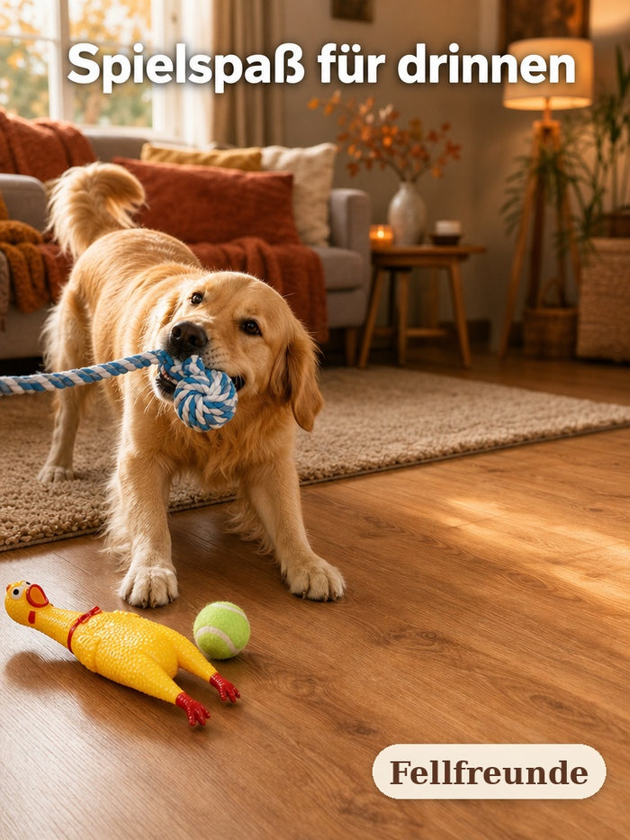 Golden Retriever spielt mit einem Seilspielzeug