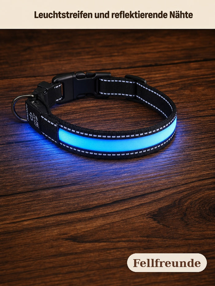 Nahaufnahme des LED-Halsbands mit Leuchtstreifen, reflektierenden Nähten, Steckverschluss und D-Ring