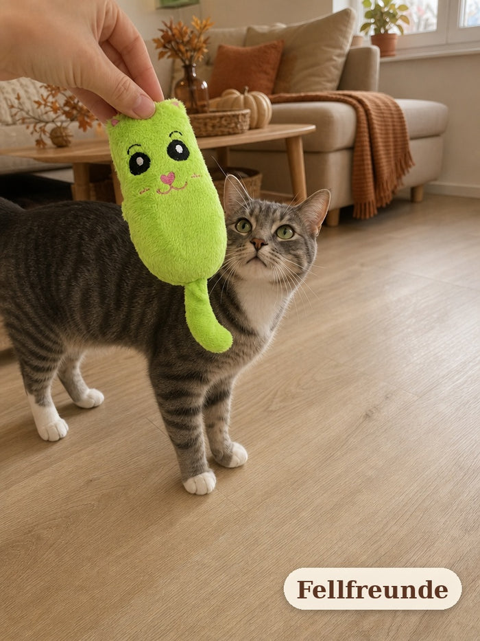 Hand hält das Plüschspielzeug mit Katzenminze vor eine neugierige Katze