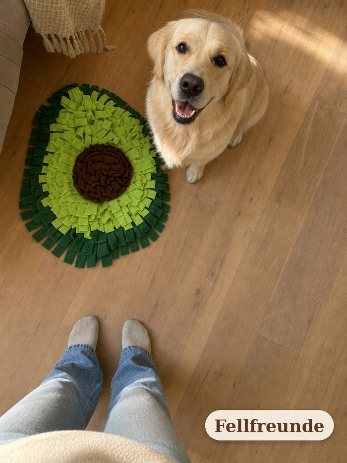 Golden Retriever wartet gespannt neben dem Avocado-Schnüffelteppich