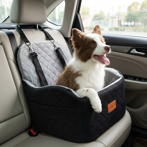 Hund im Hunde-Autositz