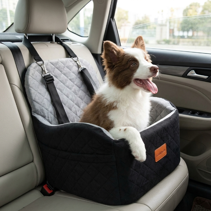 Hunde-Autositz mit Hund im Auto (7)