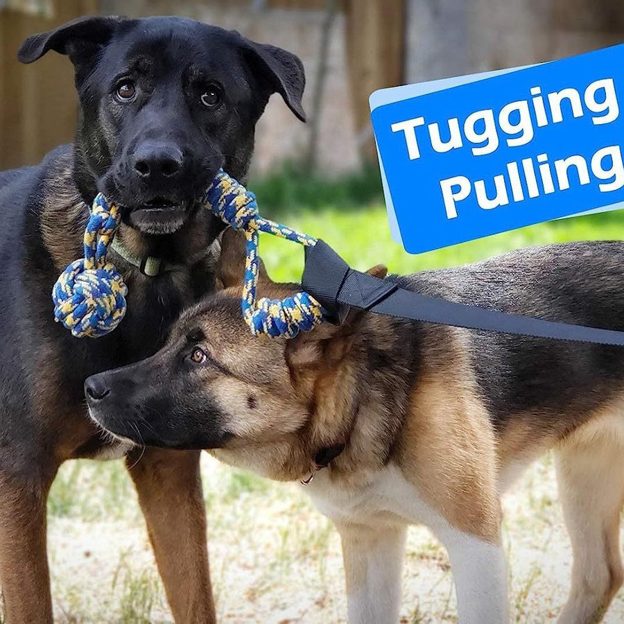 Zerrseil mit Ball für Hunde (8)