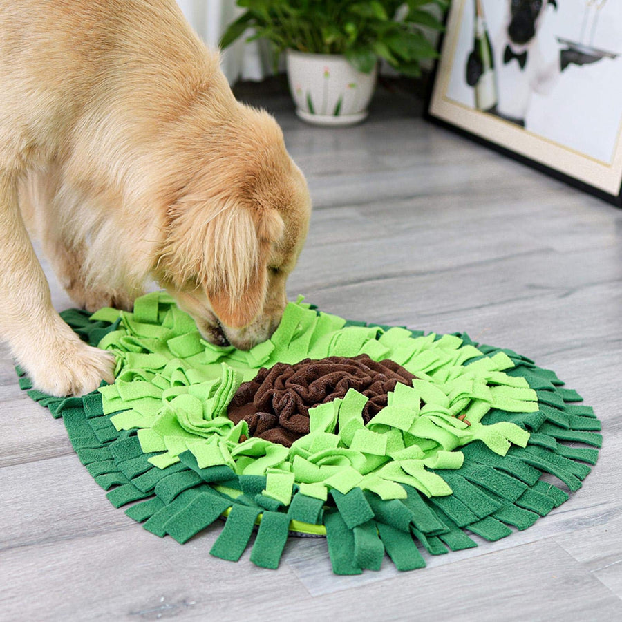 Schnüffelteppich für Hunde (7)