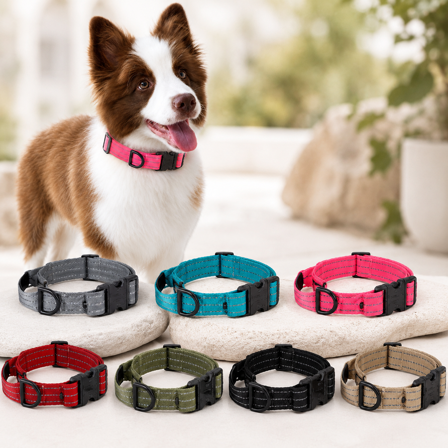 Reflektierendes Hundehalsband in verschiedenen Farben (7)