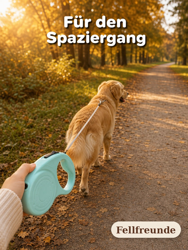 Spaziergang mit Hund an der Rollleine im Herbstpark (3)