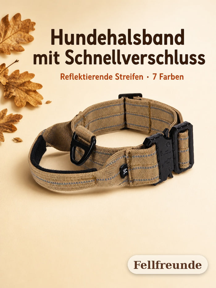 Hundehalsband mit Schnellverschluss in Sand mit reflektierenden Streifen