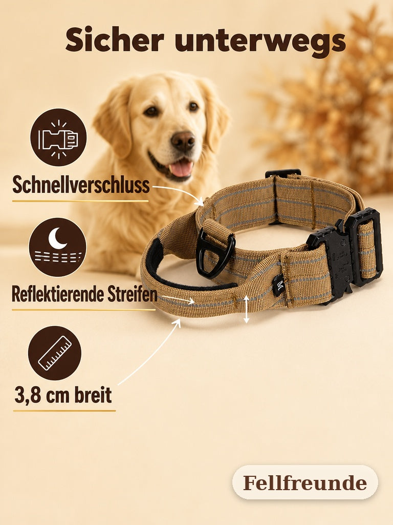 Hundehalsband mit Schnellverschluss: reflektierende Streifen und 3,8 cm breites Band (2)