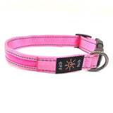 Bunt Pink