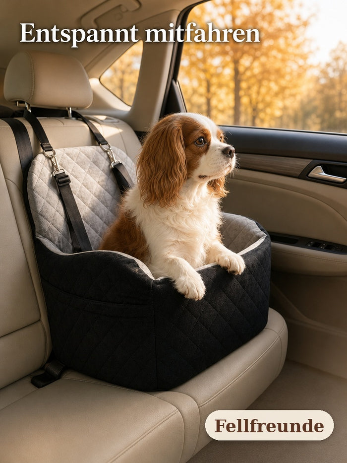 Kleiner Hund sitzt im Hunde-Autositz auf der Rückbank