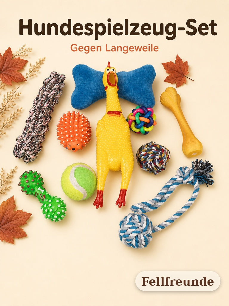 Hundespielzeug-Set mit Gummihuhn, Seilen, Bällen und Plüschknochen (1)