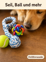 Hundespielzeug Set 10-teilig – Kauspielzeug für Hunde Bild 4
