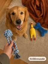 Hundespielzeug Set 10-teilig – Kauspielzeug für Hunde Bild 5
