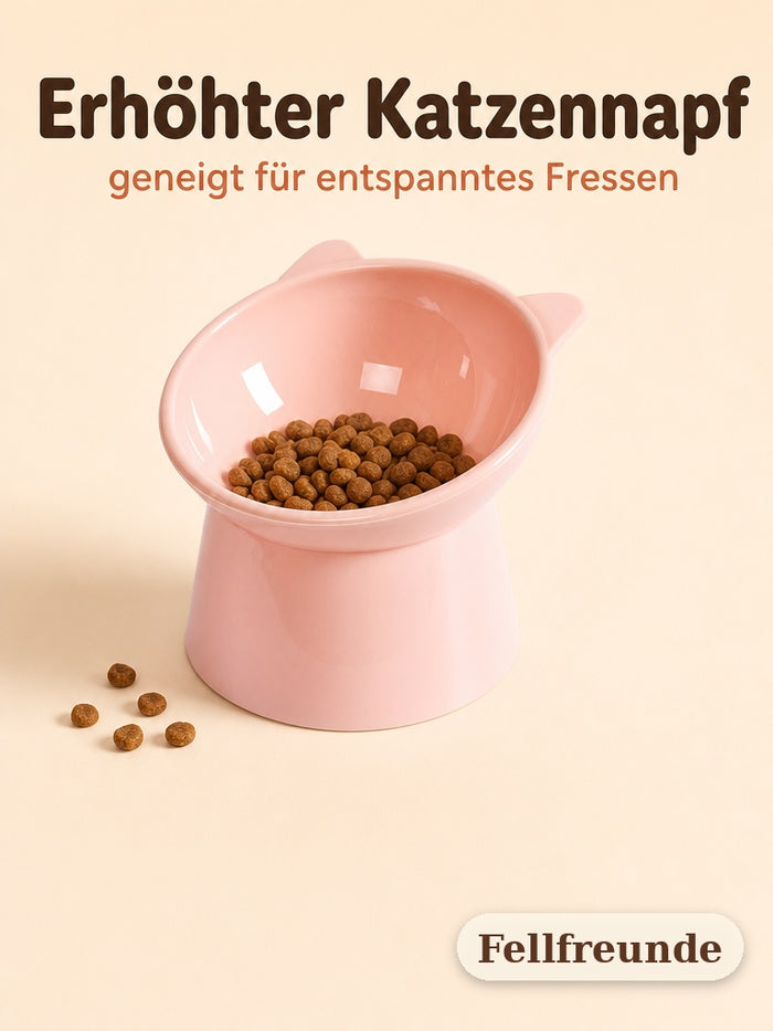 Erhöhter geneigter Katzennapf in Rosa mit Trockenfutter