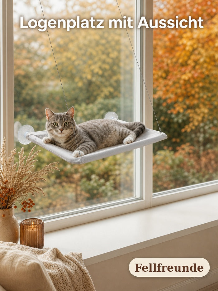 Getigerte Katze liegt in der Fensterliege vor einem Fenster mit Herbstlaub