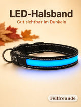 LED-Hundehalsband mit Leuchtstreifen und reflektierenden Nähten Bild 1