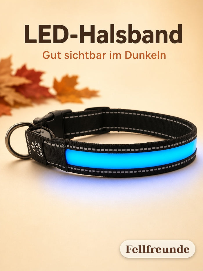LED-Hundehalsband mit blau leuchtendem Streifen und reflektierenden Nähten