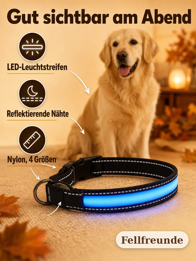 LED-Hundehalsband mit Leuchtstreifen, reflektierenden Nähten und Nylonband, Golden Retriever im Hintergrund (2)