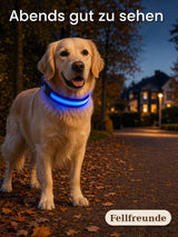 LED-Hundehalsband mit Leuchtstreifen und reflektierenden Nähten Bild 3