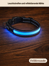 LED-Hundehalsband mit Leuchtstreifen und reflektierenden Nähten Bild 4