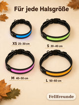 LED-Hundehalsband mit Leuchtstreifen und reflektierenden Nähten Bild 6