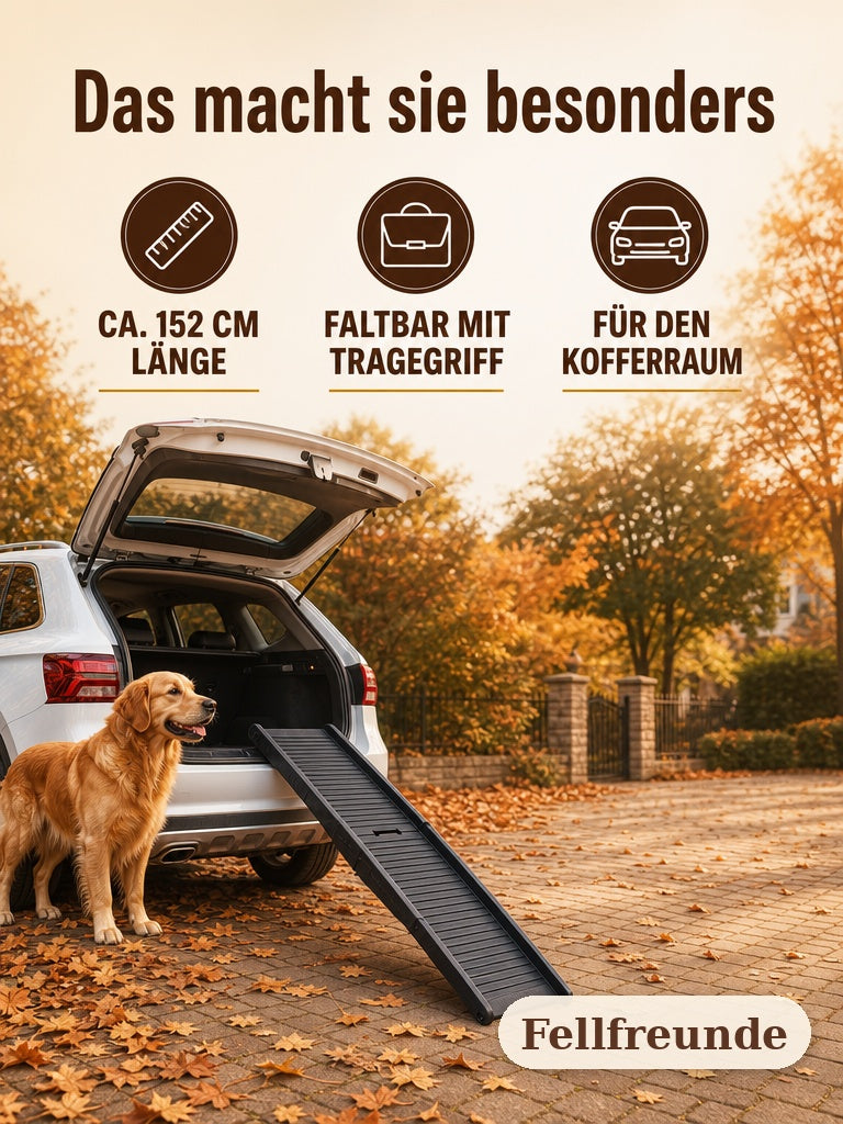 Hunderampe fürs Auto faltbar – rutschfeste Hundeleiter