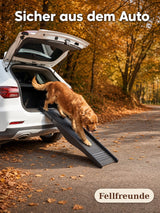 Hunderampe fürs Auto faltbar – rutschfeste Hundeleiter Bild 3