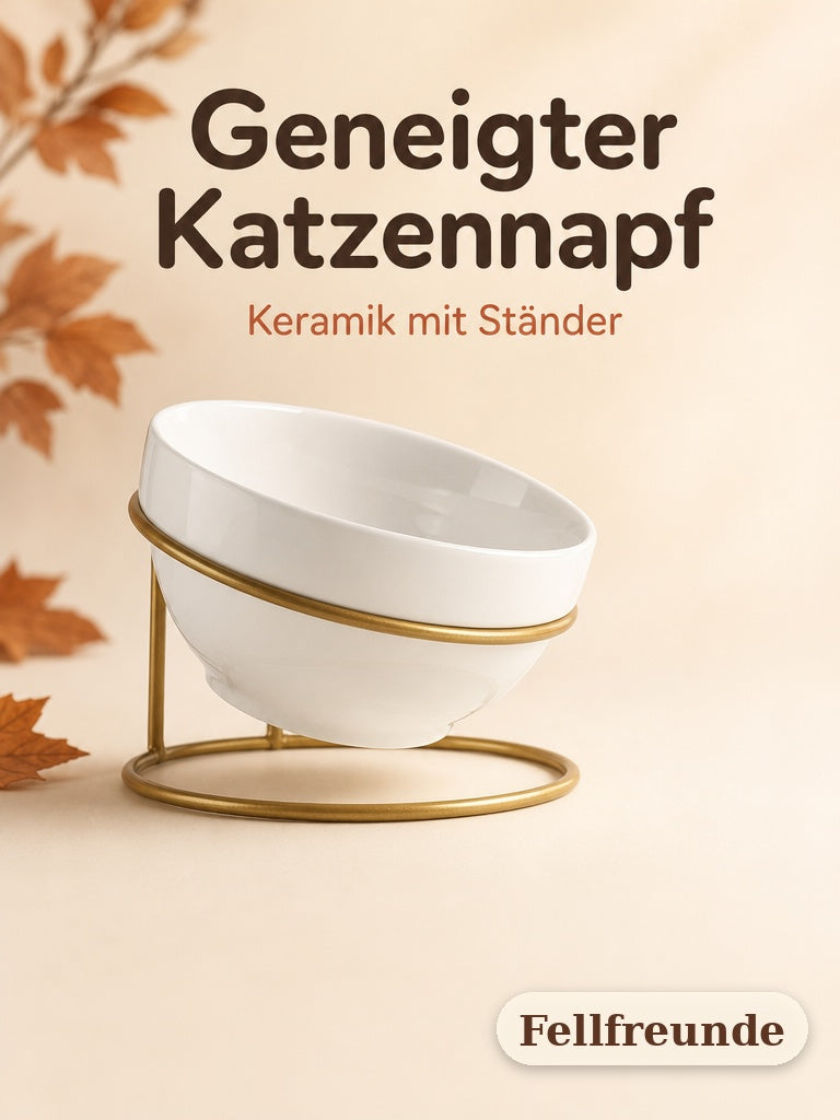 Geneigter Keramik-Futternapf für Katzen mit goldenem Ständer (1)