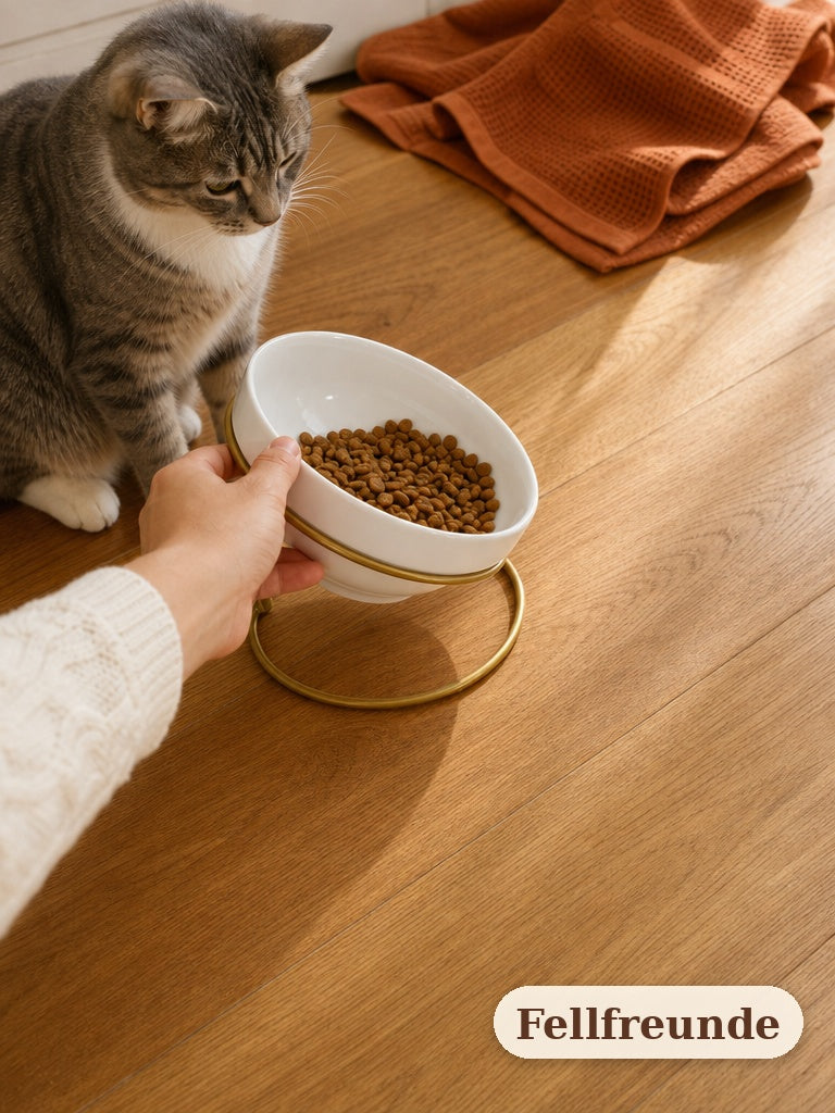 Napf mit Futter füllen, Katze wartet daneben (5)