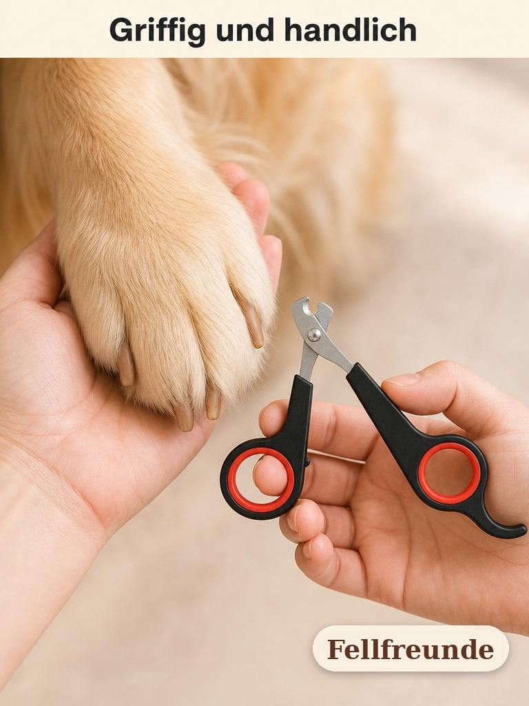 Nahaufnahme: Hund-Pfote in der Hand, daneben die Krallenschere (4)