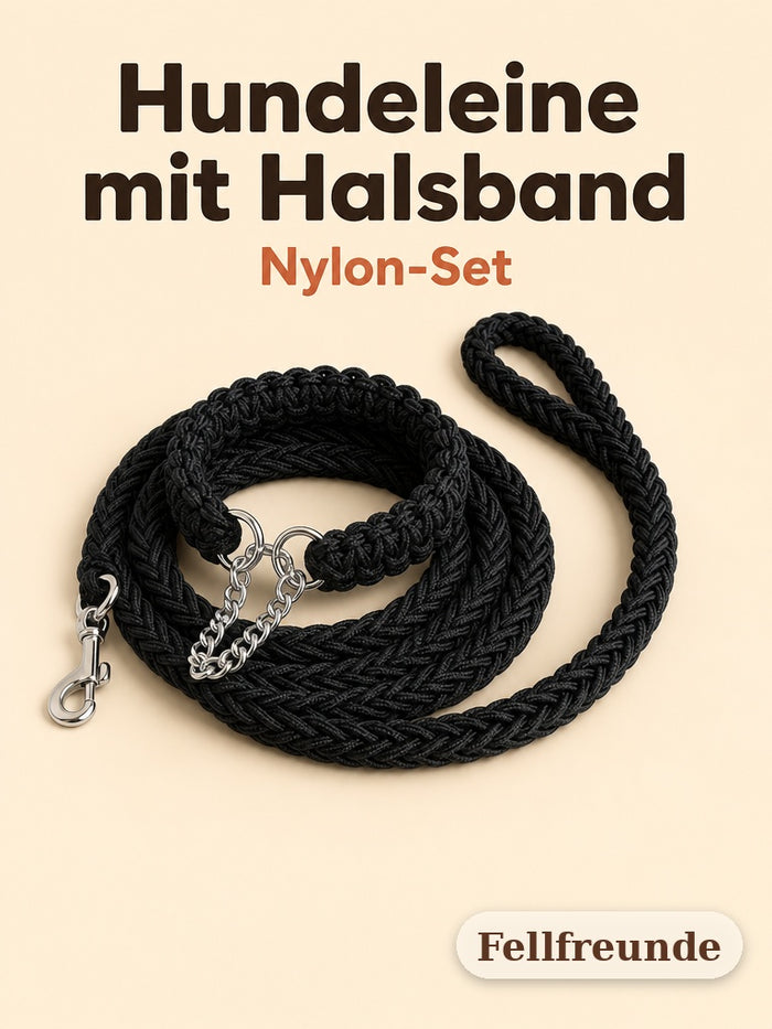 Hundeleine mit Halsband aus Nylon in Schwarz, geflochten