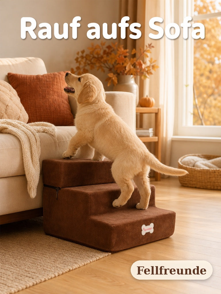 Junger Golden Retriever steigt die Haustiertreppe zum Sofa hinauf (3)