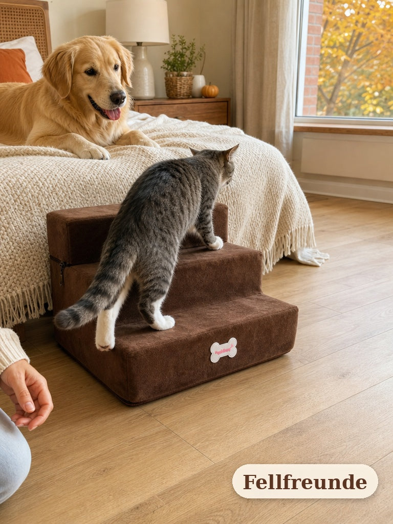 Katze läuft die Haustiertreppe neben dem Bett hinauf (5)