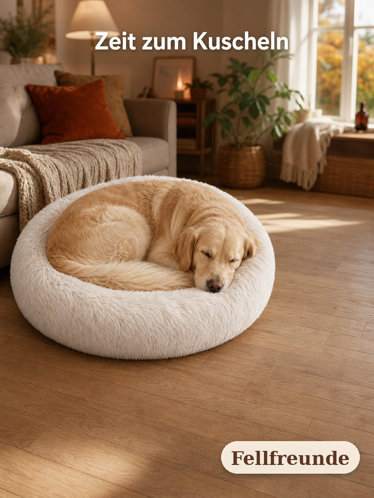 Golden Retriever schläft eingerollt im cremefarbenen Plüsch-Hundebett (3)