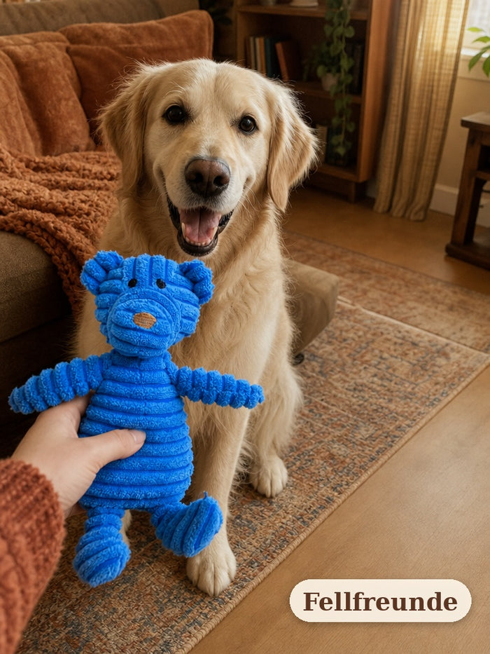 Hand hält den Quietsch-Plüschbären einem aufgeregten Golden Retriever entgegen