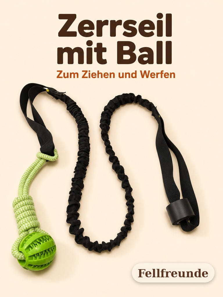 Zerrseil mit Ball für Hunde in Grün mit schwarzer Griffschlaufe, Produktfoto (1)