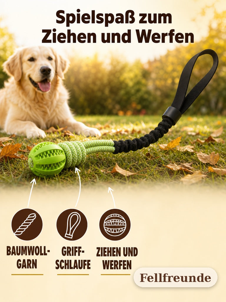 Zerrseil mit Ball: Baumwollgarn, Griffschlaufe, zum Ziehen und Werfen, Golden Retriever im Garten (2)