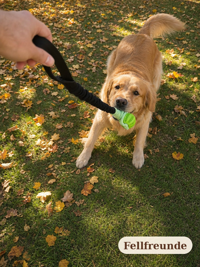 Hand hält die Schlaufe, Hund zieht am Zerrseil mit Ball im Herbstlaub