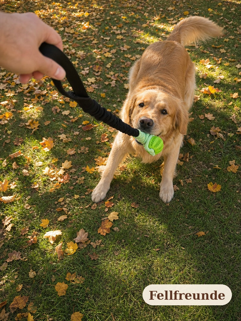 Hand hält die Schlaufe, Hund zieht am Zerrseil mit Ball im Herbstlaub (5)